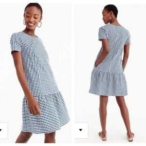 J.‎ Crew x Universal Standard Gingham Poplin Dress